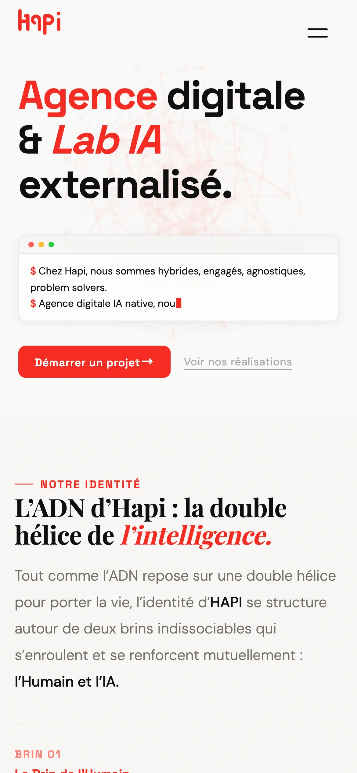 Site Hapi V1, mobile