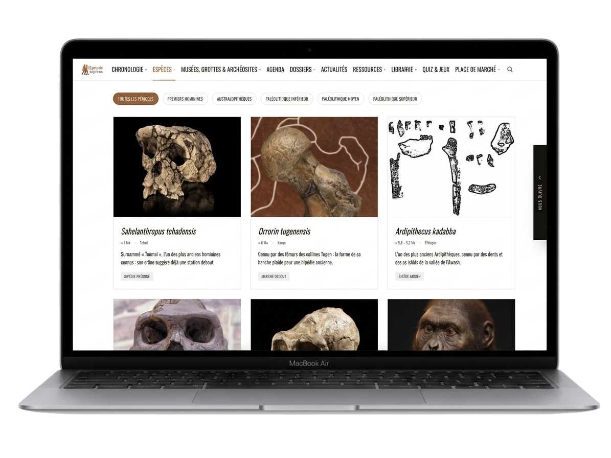 Fiches espèces du portail L'Épopée Sapiens sur MacBook